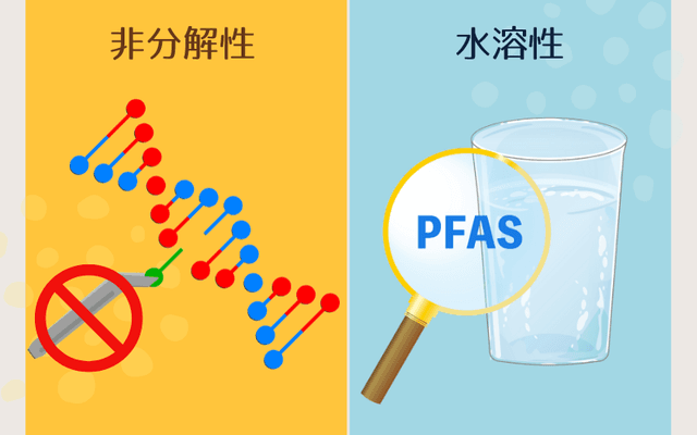 PFAS 特性
