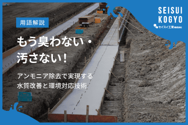 【コラム】「もう臭わない・汚さない!アンモニア除去で実現する水質改善と環境対応技術」をアップしました。