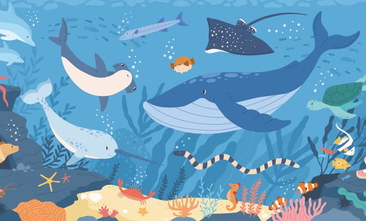 海 生態系 イラスト