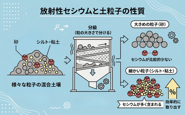 放射性セシウムと土粒子の関係