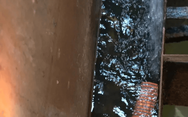 処理水(分離された水)の写真