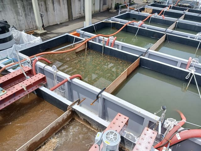 バイオマス発電所で木酢液化した燃料(木質ペレット)を排水処理できるCOD値とSS値まで仮設水処理プラントで低減