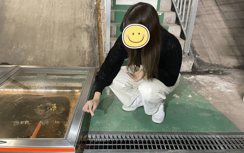 餌やり