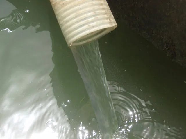 処理水（分離された水）の写真