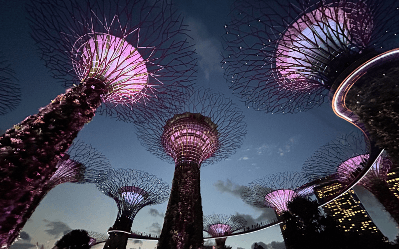 夜景スーパーツリー