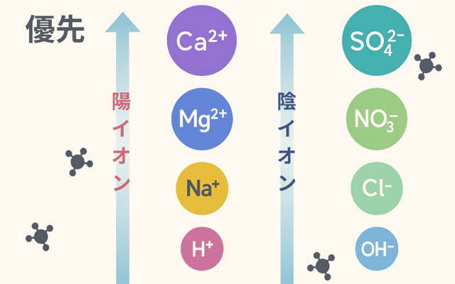 イオン交換 優先順位