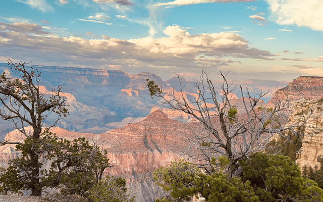 グランドキャニオンの“開放的”すぎるトイレ事情!?大自然とトイレに向き合った旅レポート