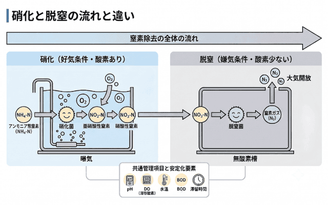 硝化と脱窒の流れと違い