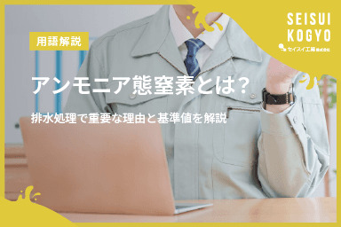 【コラム】「アンモニア態窒素とは?排水処理で重要な理由と基準値を解説」をアップしました。