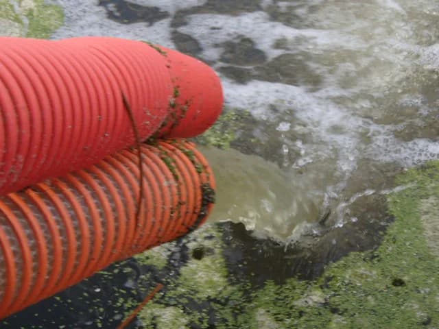 処理水（分離された水）の写真