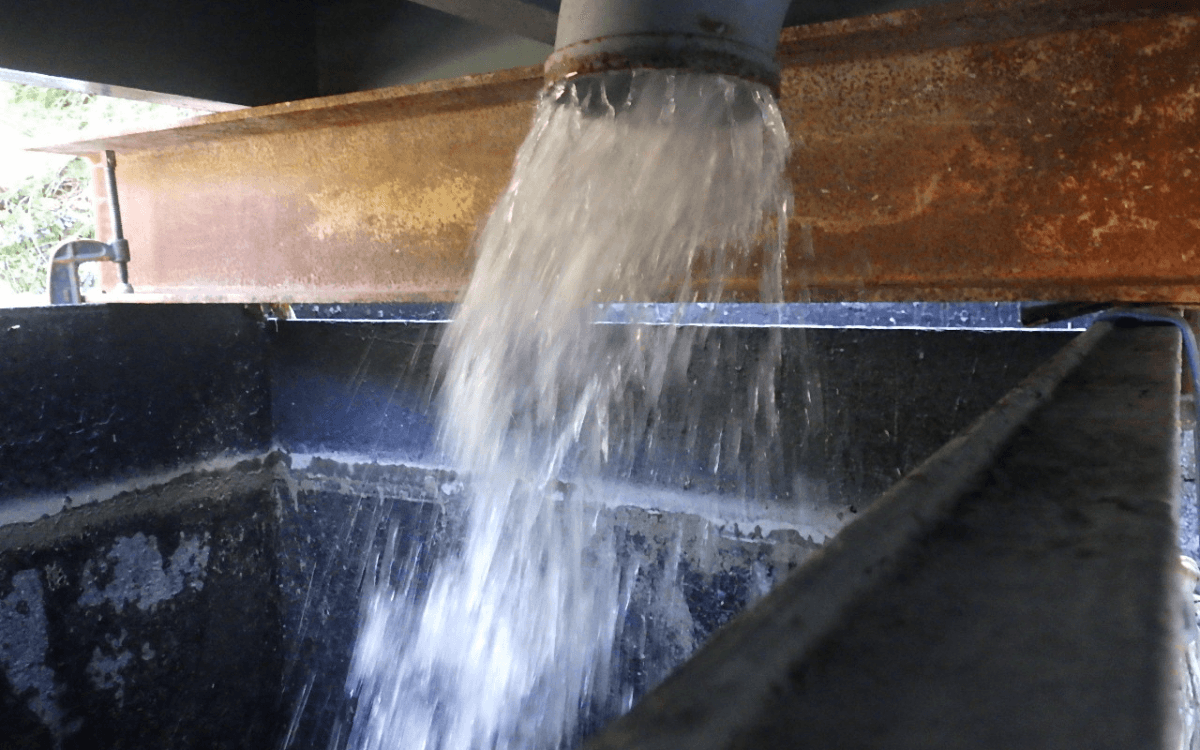 処理水(分離された水)