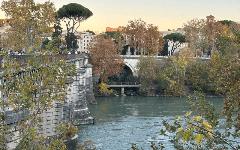 クロアカ・マキシマ 対岸から