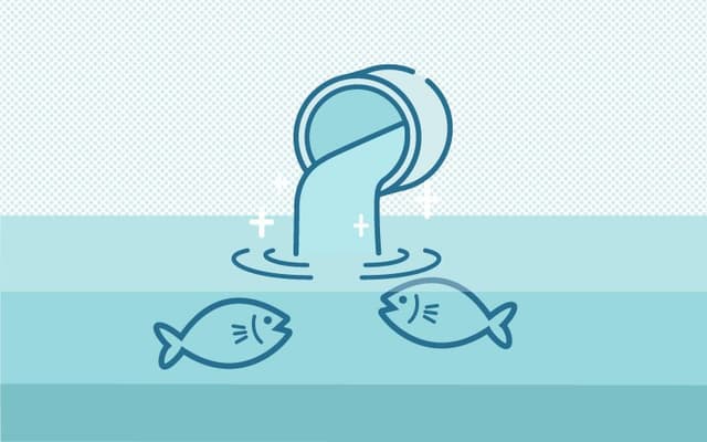 排水 処理 きれい 生態系 イラスト