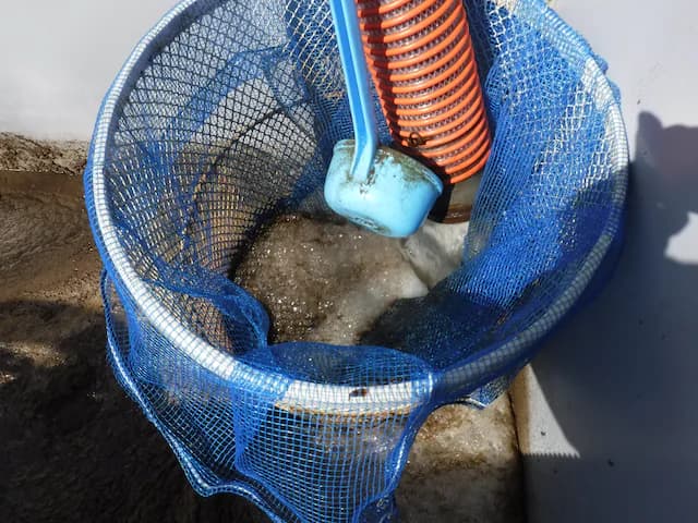 処理水(分離された水)の写真