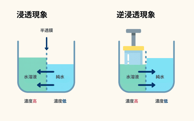 浸透・逆浸透 仕組み