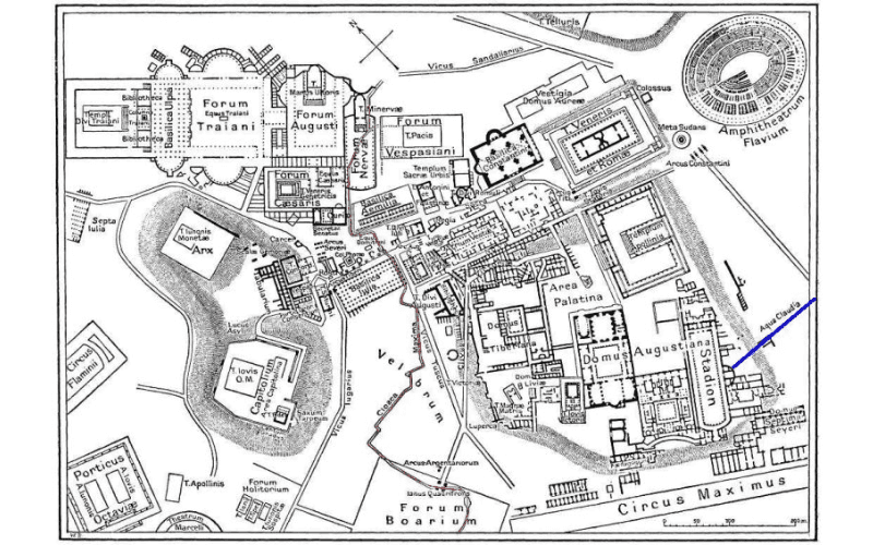クロアカマキシマ 構造