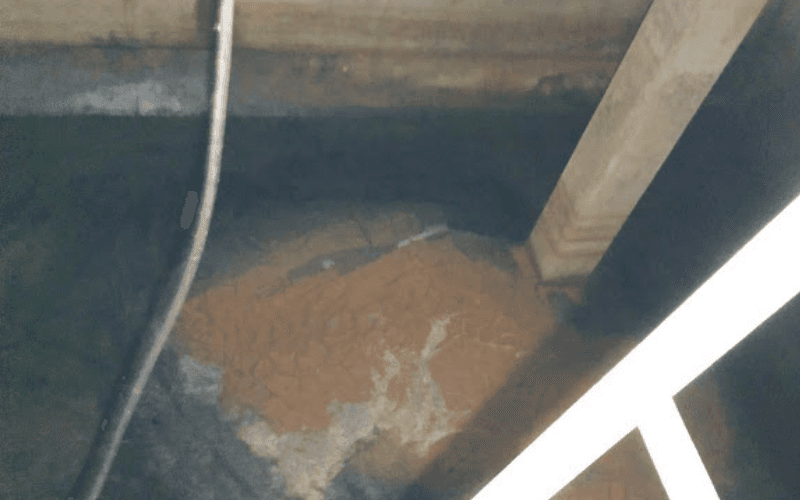 処理後の曝気槽の写真