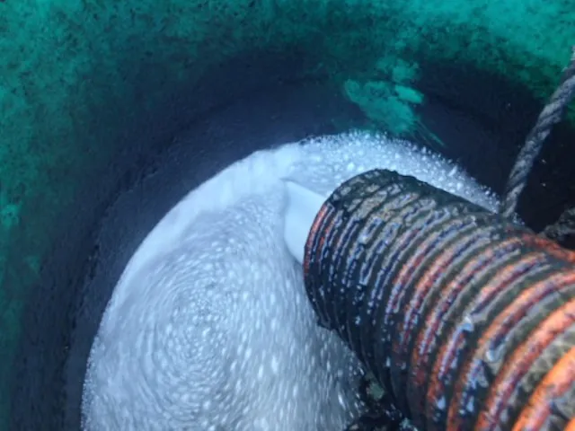 処理水(分離された水)の写真