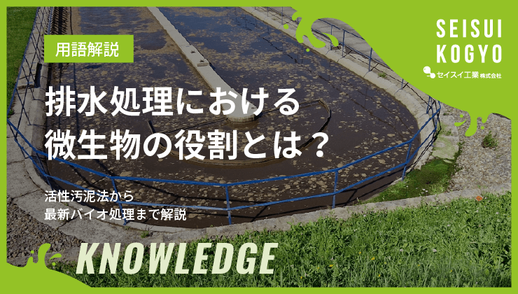 排水処理における微生物の役割