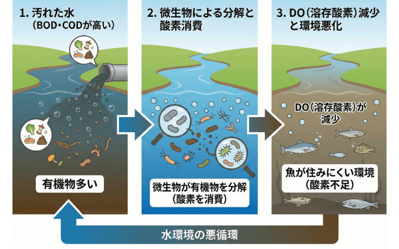 BOD・COD・DOの関係性