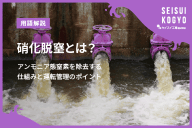 【コラム】「硝化脱窒とは?アンモニア態窒素を除去する仕組みと運転管理のポイント」をアップしました。