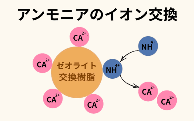 イオン交換仕組み