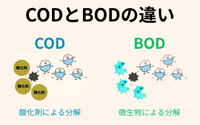 COD BOD違い